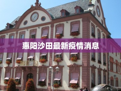 惠阳沙田最新疫情消息