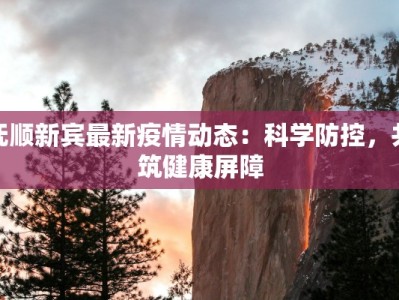 抚顺新宾最新疫情动态：科学防控，共筑健康屏障