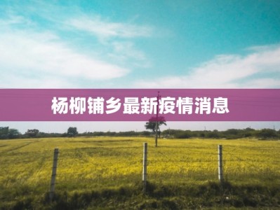 杨柳铺乡最新疫情消息