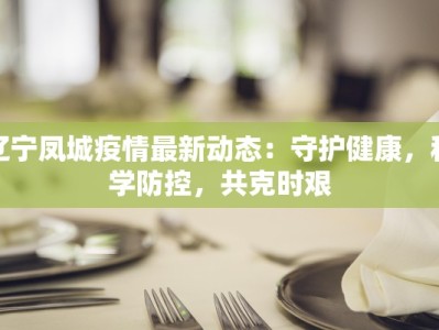 辽宁凤城疫情最新动态：守护健康，科学防控，共克时艰