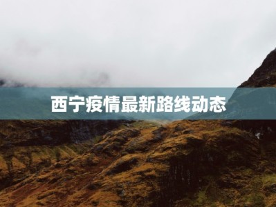 西宁疫情最新路线动态