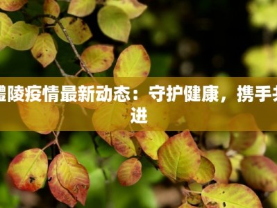 醴陵疫情最新动态：守护健康，携手共进
