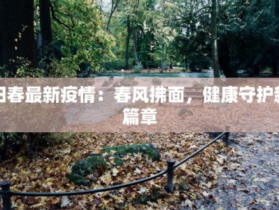 阳春最新疫情：春风拂面，健康守护新篇章