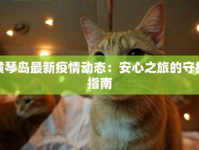 横琴岛最新疫情动态：安心之旅的守护指南