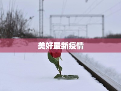 美好最新疫情
