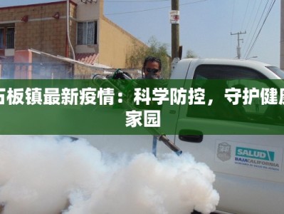 最新广州番禺疫情动态：科学防控，守护健康生活