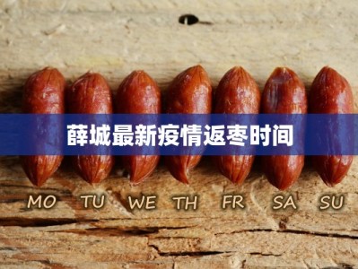 薛城最新疫情返枣时间