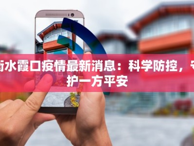 衡水霞口疫情最新消息：科学防控，守护一方平安