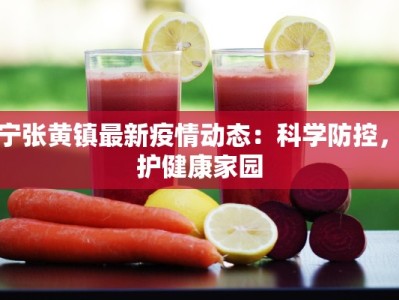 济宁张黄镇最新疫情动态：科学防控，守护健康家园
