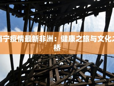 南宁疫情最新非洲：健康之旅与文化之桥