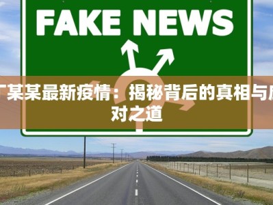 丁某某最新疫情：揭秘背后的真相与应对之道