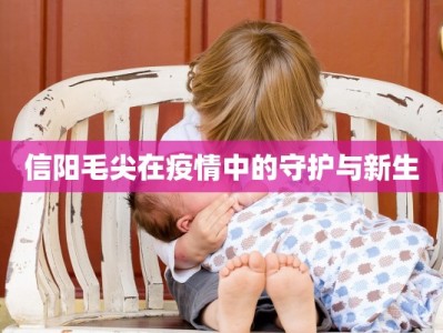 信阳毛尖在疫情中的守护与新生