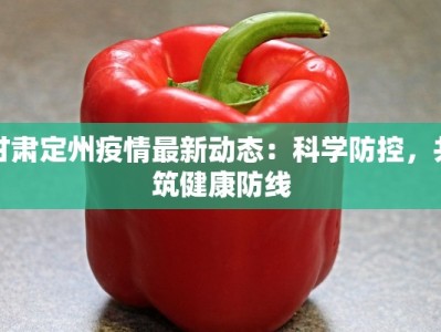 甘肃定州疫情最新动态：科学防控，共筑健康防线