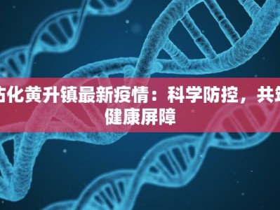 沾化黄升镇最新疫情：科学防控，共筑健康屏障