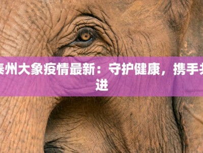 泰州大象疫情最新：守护健康，携手共进