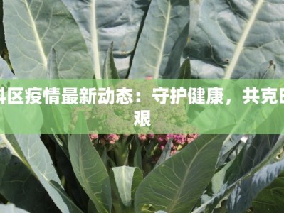科区疫情最新动态：守护健康，共克时艰