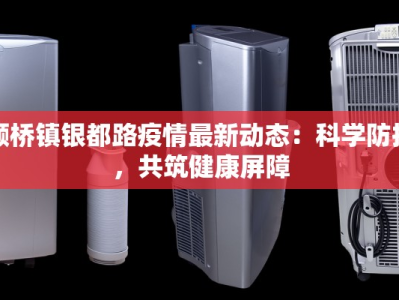 颛桥镇银都路疫情最新动态：科学防控，共筑健康屏障