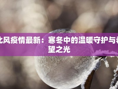 北风疫情最新：寒冬中的温暖守护与希望之光