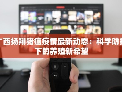 沈阳疫情最新本地确诊：守护家园，科学防控