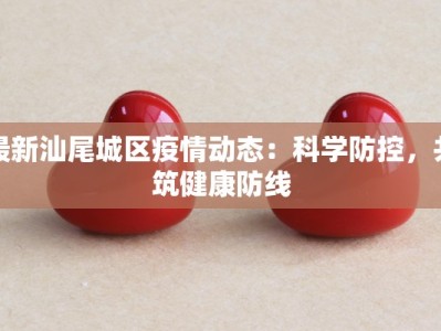 最新汕尾城区疫情动态：科学防控，共筑健康防线