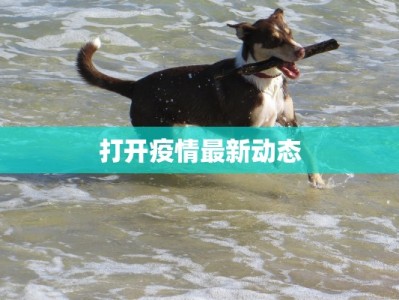 打开疫情最新动态