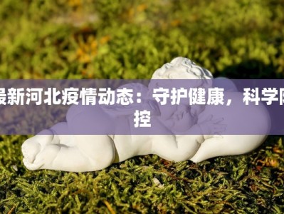 最新河北疫情动态：守护健康，科学防控