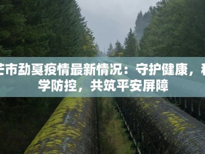 芒市勐戛疫情最新情况：守护健康，科学防控，共筑平安屏障