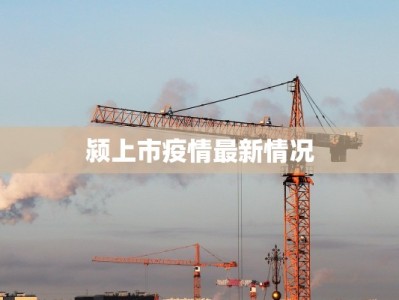 颍上市疫情最新情况