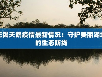 无锡天鹅疫情最新情况：守护美丽湖城的生态防线