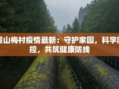 霞山梅村疫情最新：守护家园，科学防控，共筑健康防线