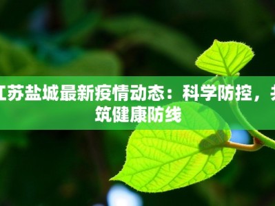 江苏盐城最新疫情动态：科学防控，共筑健康防线