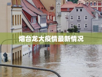 郑州最新疫情解封：重启活力，拥抱美好新生活