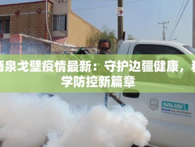 酒泉戈壁疫情最新：守护边疆健康，科学防控新篇章