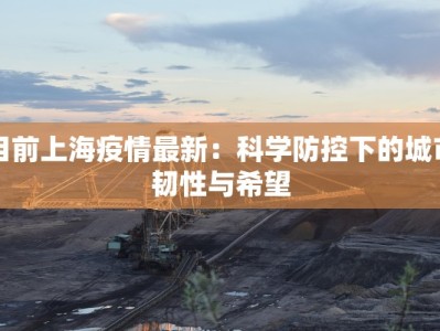 目前上海疫情最新：科学防控下的城市韧性与希望