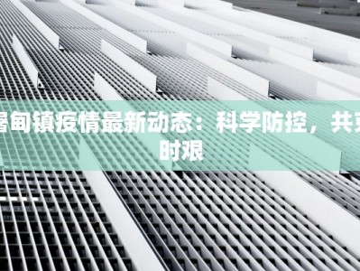屠甸镇疫情最新动态：科学防控，共克时艰