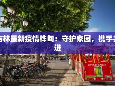 吉林最新疫情桦甸：守护家园，携手共进