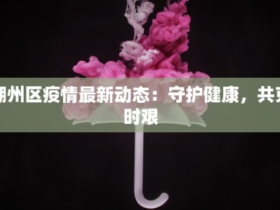 湖州区疫情最新动态：守护健康，共克时艰