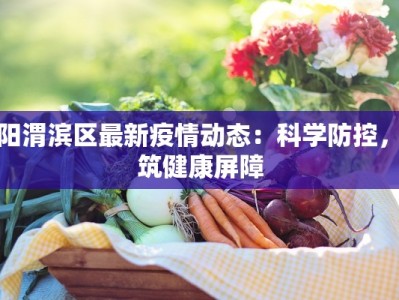 咸阳渭滨区最新疫情动态：科学防控，共筑健康屏障