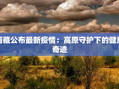 西藏公布最新疫情：高原守护下的健康奇迹