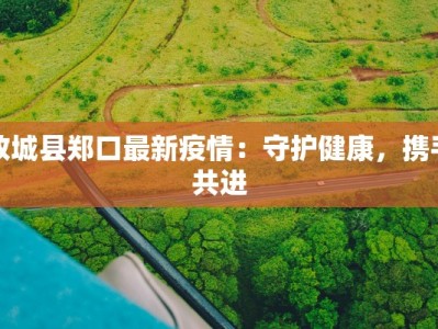 故城县郑口最新疫情：守护健康，携手共进