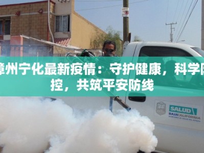 漳州宁化最新疫情：守护健康，科学防控，共筑平安防线