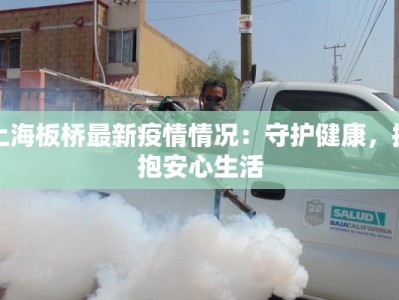 上海板桥最新疫情情况：守护健康，拥抱安心生活