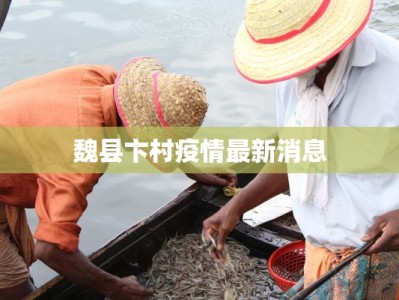 魏县卞村疫情最新消息