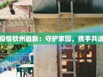 疫情钦州最新：守护家园，携手共进