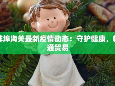 蚌埠海关最新疫情动态：守护健康，畅通贸易