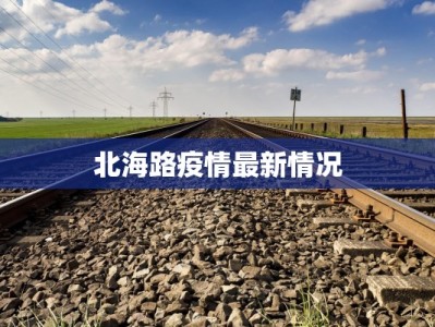 北海路疫情最新情况