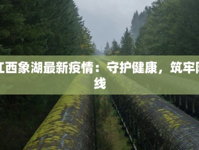 江西象湖最新疫情：守护健康，筑牢防线