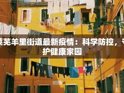 莱芜羊里街道最新疫情：科学防控，守护健康家园