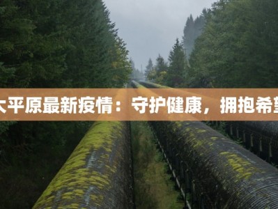 大平原最新疫情：守护健康，拥抱希望