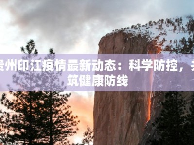 贵州印江疫情最新动态：科学防控，共筑健康防线